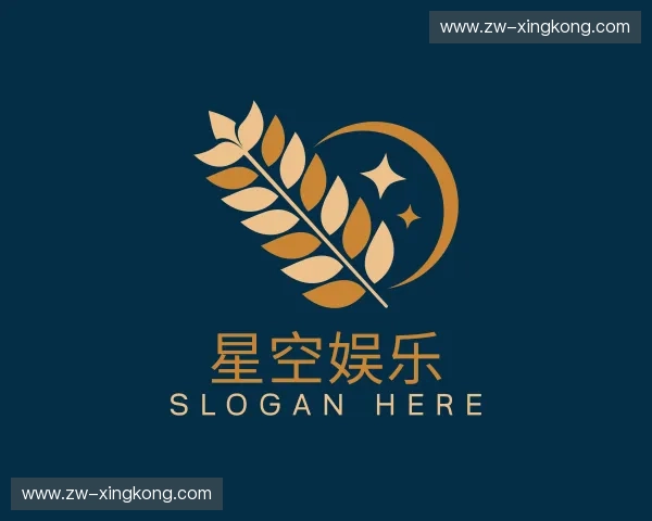 解读星空娱乐官方